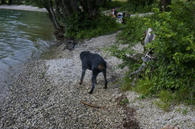 Bohinj 07 - foto