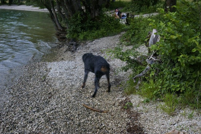 Bohinj 07 - foto povečava