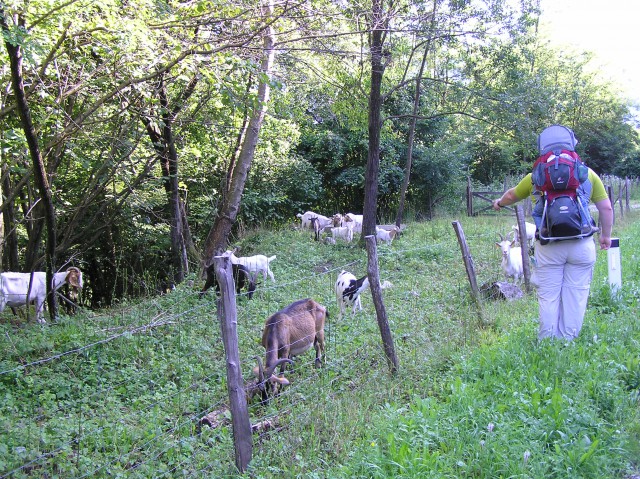 Bovec 2009 G.O. - foto