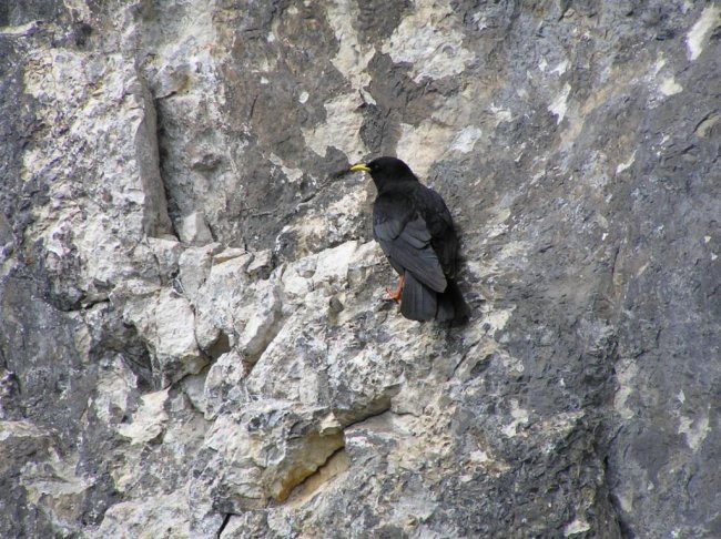 Durmitor+Prokletije - foto povečava