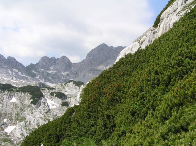 Durmitor+Prokletije - foto povečava