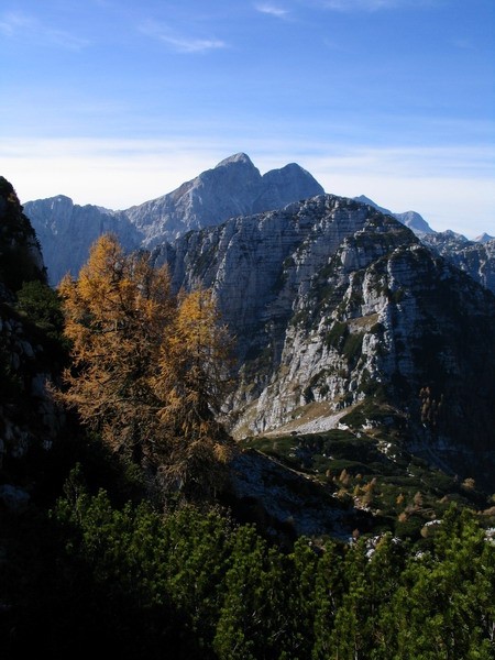 Igra barv in špic...