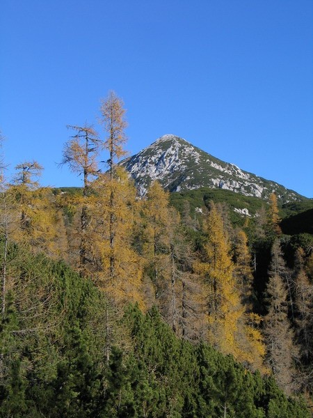 Veliki vrh na dosegu dlani...