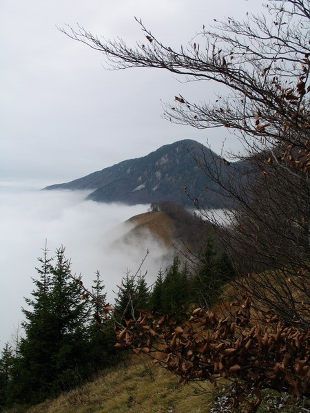 Planjava in Kržišče (Pokovše)...