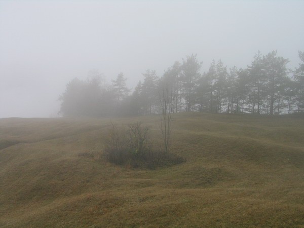 Meglene trave spodaj že rosi dež...