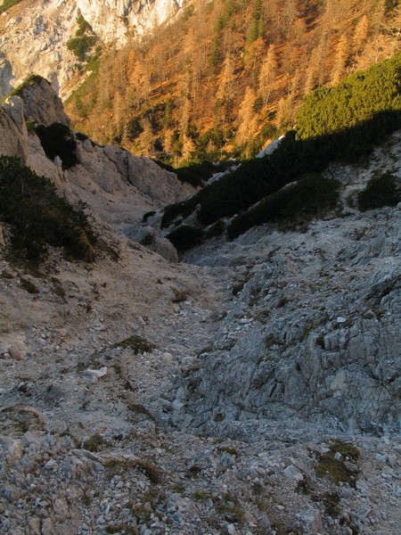 Pogled v sestop po grapi, svetlo...