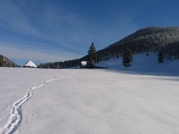 Ne levo, ne desno... potem pa nazaj...