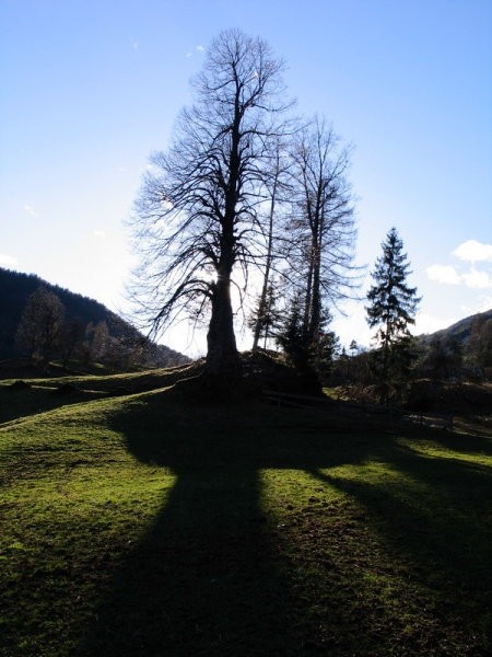 Sanjsko... a malce postrani...