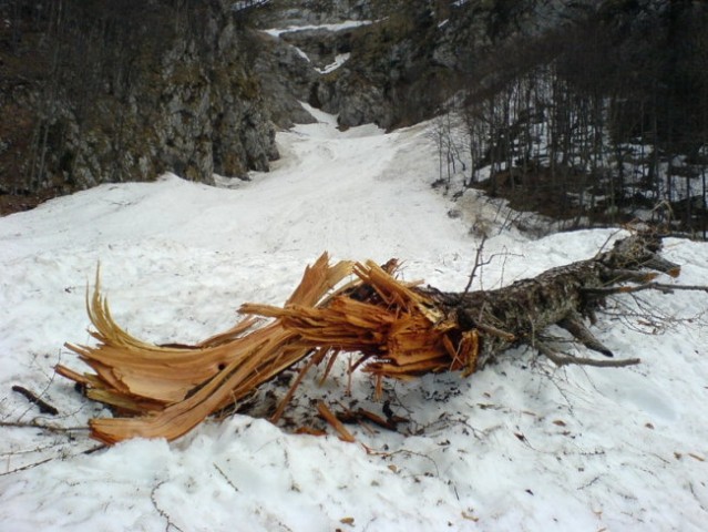 Vse na poti...