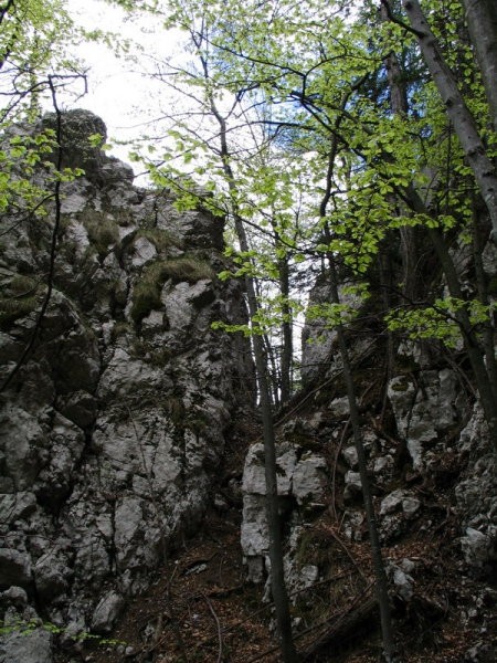 Po prečenju v levo ugledamo 'odrešilna' vratica...