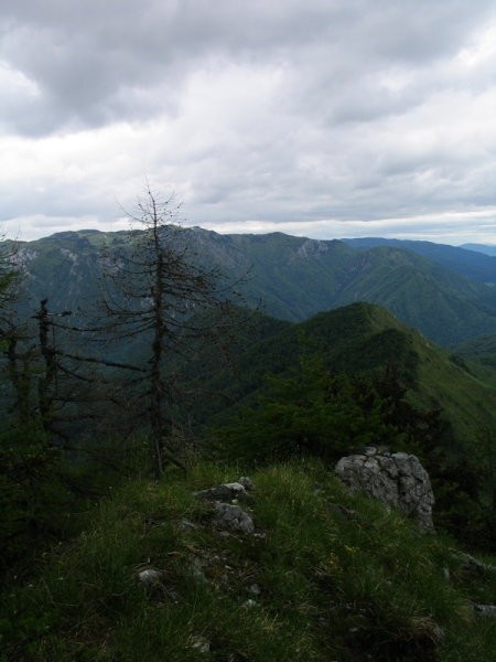 Z začetnega grebena stopam proti vrhu... zadaj Kamniški vrh...