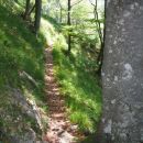 'Najvišja' stezica od Klina v Repov kot...