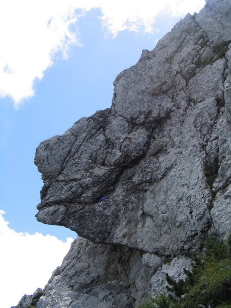 Odblesk kot plomba 'bolečine'...