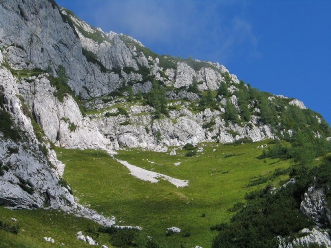 Travnik... Vodja kliče...