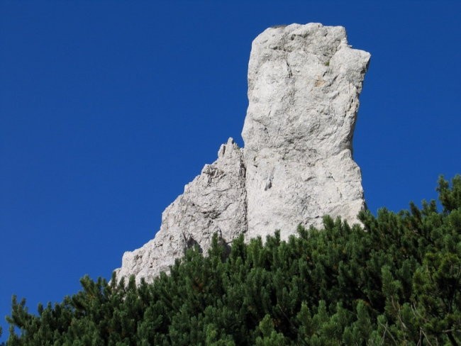 Madonca, kakšno nasprotje... s prejšnjim 'zaobljenim'...