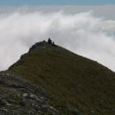 Skuštrani (Koštrunasti) oddih...