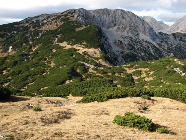 Kalški nad Kalcami...