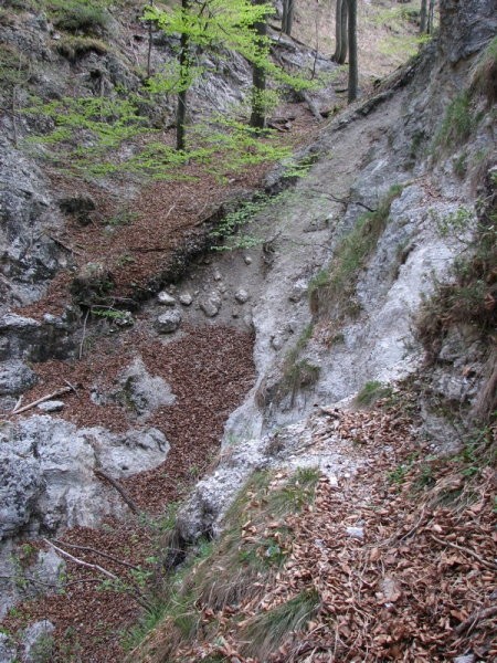 Odnešena. Gori je zajla...