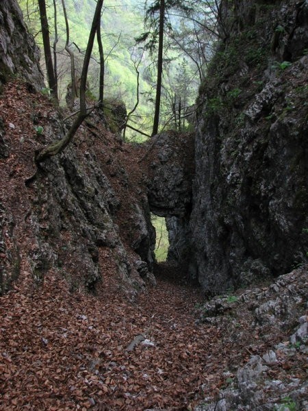 Okno. Strmo se podričam skoraj vanj...