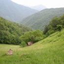 Široka dolina. In ko ravno pristopim do kočice ... glej ga, prisrčnega lastnika ...