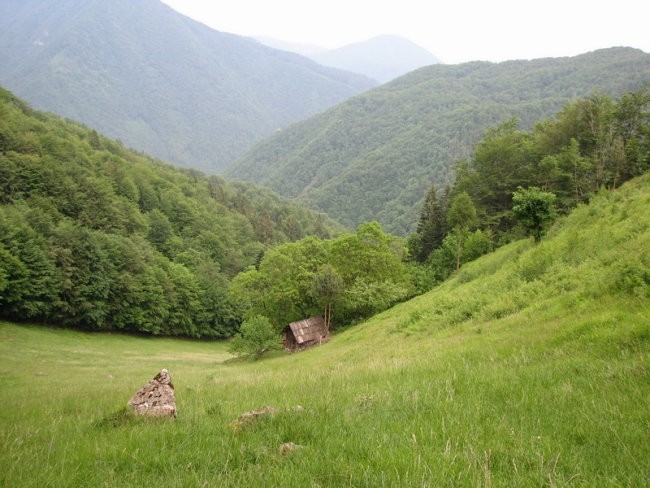 Široka dolina. In ko ravno pristopim do kočice ... glej ga, prisrčnega lastnika ...