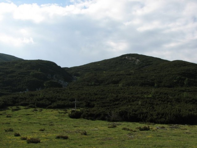 Z Dleskovca na drugo stran. Obžagano, na planino Dolga Trata ...