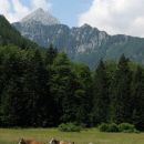 Travnik z razgledom ...