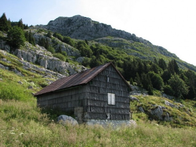 Na planini Goričica ...