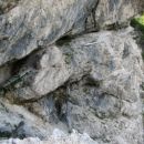 Prehod(ov), madonca ...