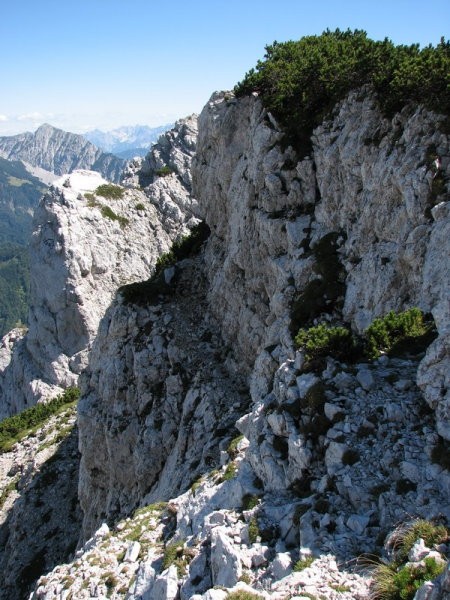 Sijajna polica! Pa jo boste verjetno 'spregledali' ...