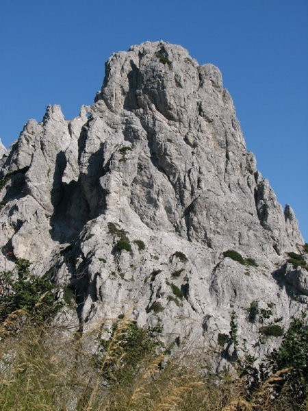 Ne moreva izvedeti za njeno ime. Pa takšna lepotica s prebodenim uhljem ...