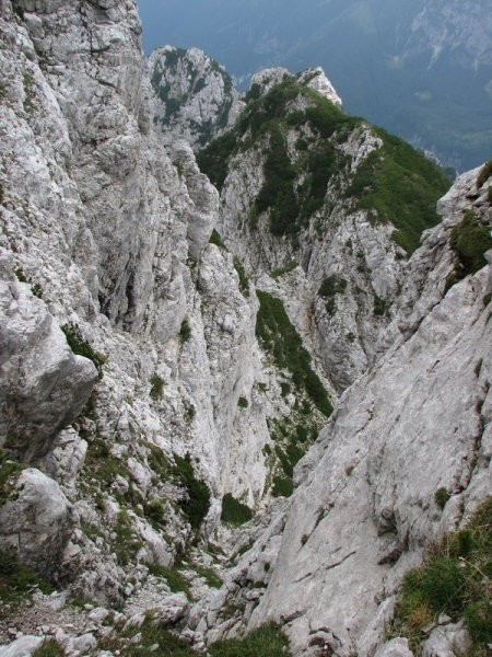 Izstop med ruševje. Pogled nazaj ...