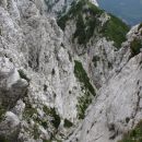 Izstop med ruševje. Pogled nazaj ...