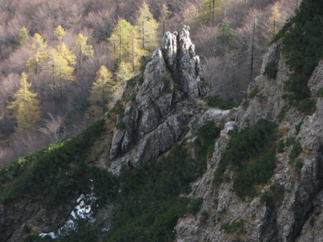 Drugačna 'pot', drugačni pogledi ...