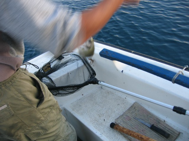 Morski ribolov - foto