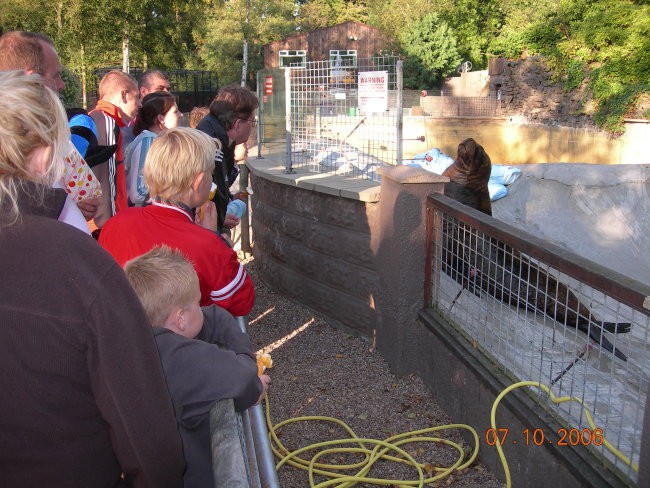 Drayton Manor Park - foto povečava