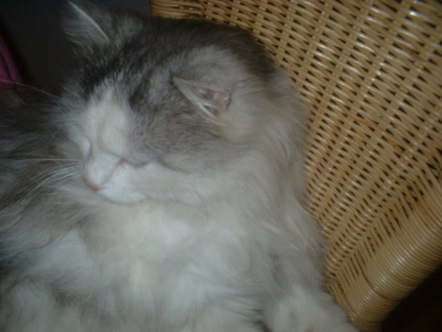 Oh ne me slikat ...