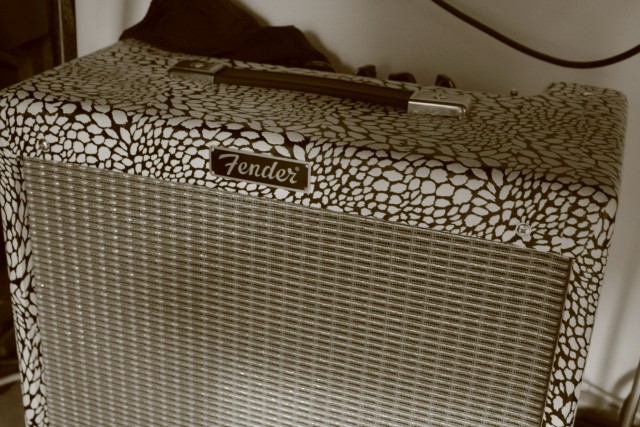 Fender Blues junior, custom preobleka, snakeskin