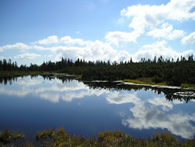 POHOD ČRNI VRH POHORJE  2006 - foto