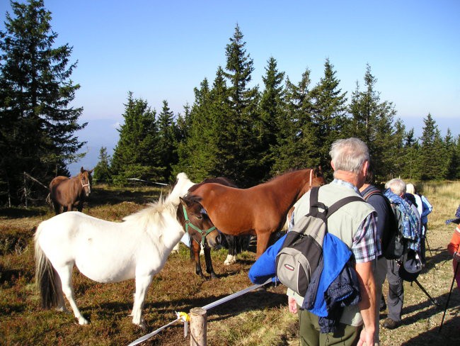 POHOD ČRNI VRH POHORJE  2006 - foto povečava