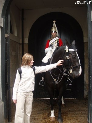 Kraljeva straža na konju & iRiS
