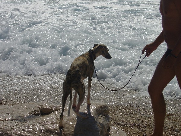 Greece2007 - foto