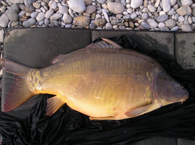 ZAPERŠIČ-PLAŽA 18.60KG