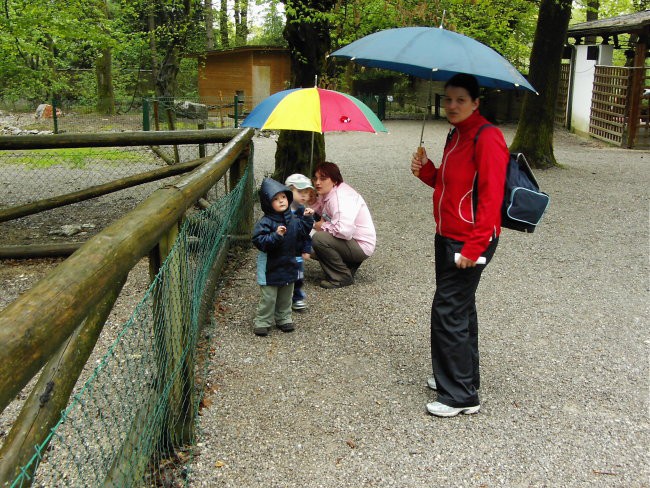 Leon s prijateljem Luko v ZOO - foto povečava