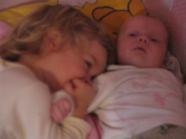 24.1.2007 ...moj, moj , Nik