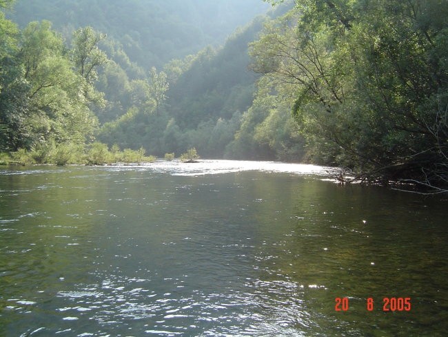 Kolpa Kupica 2005 - foto povečava