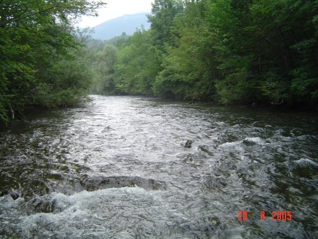 Kolpa Kupica 2005 - foto povečava