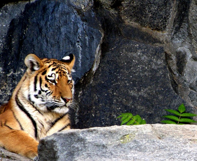 Tierpark Berlin,oktober 2006