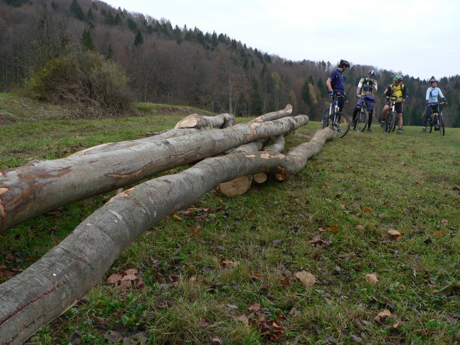 Skupna novemberska - predogled - foto povečava