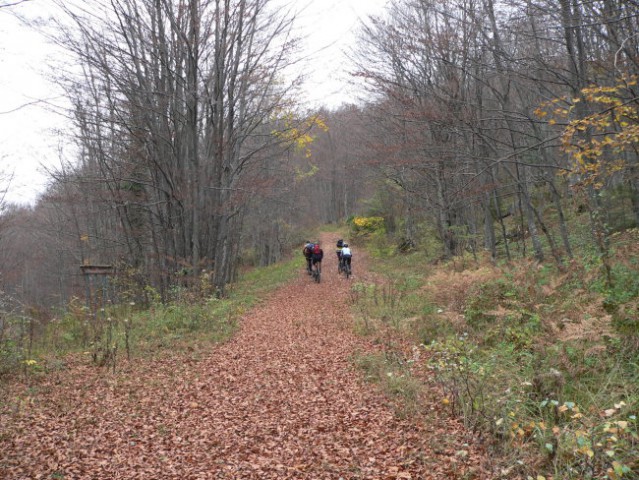 Skupna novemberska - predogled - foto